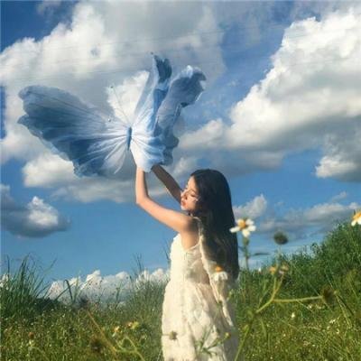 楚留香新传之鹦鹉传奇